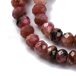 Perline Rhodonite naturale fili&nbsp;G-G139-B15-01