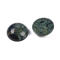 Cabochons de jaspe kambaba naturel&nbsp;G-T020-18mm-34