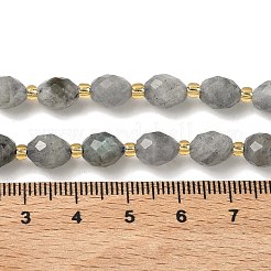 Natur Labradorit Perlen Stränge&nbsp;G-F809-A47-01