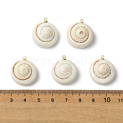 Pendentifs coquillages naturels shiva&nbsp;KK-C143-55G