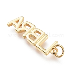Messing Anhänger & Charms&nbsp;ZIRC-I048-15G-10