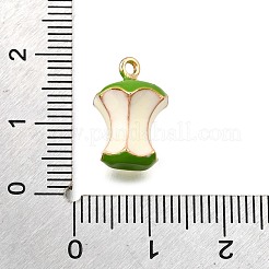Charms del esmalte de la aleación&nbsp;ENAM-D303-07G-02