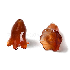 Natürliche Karneolperlen&nbsp;G-C054-09F