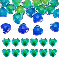 Breloques en verre&nbsp;GLAA-TAC0012-28B