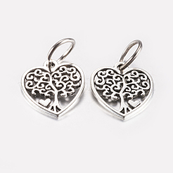 Pendentifs en alliage de style tibétain&nbsp;PALLOY-F199-13AS