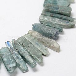 Natürliche kyanit / cyanit / disthen perlen stränge&nbsp;G-F462-04