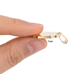 Pendentifs en acier inoxydable 304 avec placage ionique (IP)&nbsp;STAS-I311-05A-G