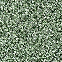 Miyuki Delica Perlen&nbsp;SEED-JP0008-DB0413