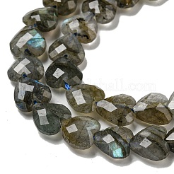 Natur Labradorit Perlen Stränge&nbsp;G-P544-E01-01