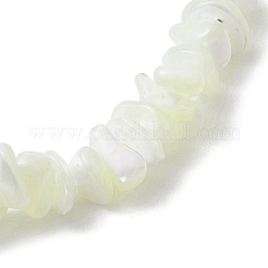 Stretch-Armbänder aus natürlichen Trochus-Muschelsplitterperlen für Frauen und Männer&nbsp;BJEW-JB10549