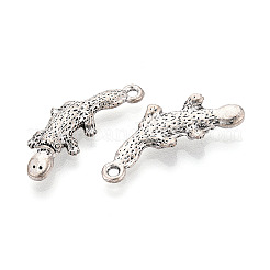 Tibetischer stil Aluminium Anhänger & Charms&nbsp;TIBEP-T054-24AS