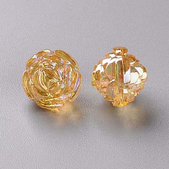 Perles en acrylique transparente&nbsp;TACR-S154-31C-919