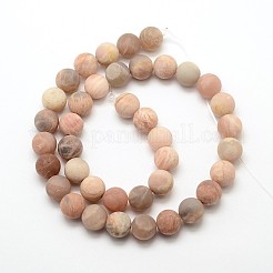 Natürliche sunstone mattierte runde Perle Stränge&nbsp;G-O039-07-10mm