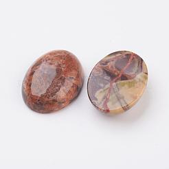 Natürliche mehrfarbige Achat Cabochons mit flachem Rücken&nbsp;G-G741-22x30mm-08
