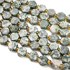 Natürliche grüne Fleck Jaspis Perlen Stränge&nbsp;G-F833-B05-01