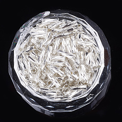 Glas Twist Signalhorn Perlen&nbsp;SEED-S018-03