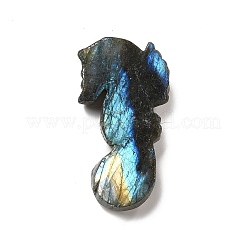 Cabochon di labradorite naturale&nbsp;G-G985-03