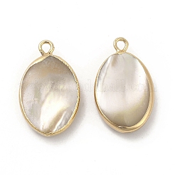 Natürliche Trochus-Muschel-Anhänger&nbsp;LS-PEAR-P004-49KCG