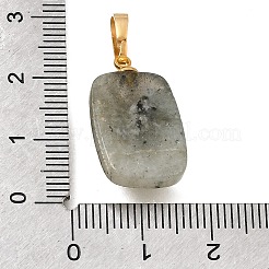 Natur Labradorit Anhänger&nbsp;G-T151-02B