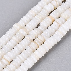 Naturali di acqua dolce perline shell fili&nbsp;SHEL-Q028-01