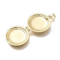 Pendentifs de médaillon en laiton&nbsp;LS-KK-D431-030E-G