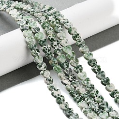 Natürliche grüne Fleck Jaspis Perlen Stränge&nbsp;G-M403-A22-02
