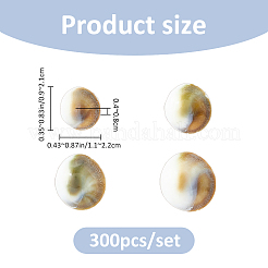 300 Stück natürliche Shiva-Augen-Muschel-Cabochons&nbsp;SHEL-FH0001-28