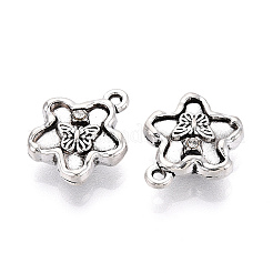 Tibetischen Stil Legierungs Anhänger & Charms&nbsp;TIBE-N013-24AS