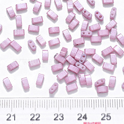 Perles de verre à peinture cuite à 2 trou fgb&nbsp;X-SEED-S031-M-599