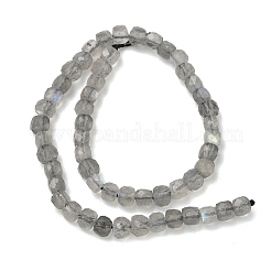 Natur Labradorit Perlen Stränge&nbsp;G-B168-B07-4x4mm