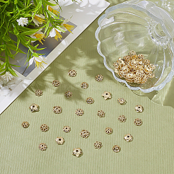 80 Stück 10 Stile Blumen-Messingperlenkappen&nbsp;KK-ME0001-79