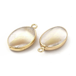 Natürliche Trochus-Muschel-Anhänger&nbsp;LS-PEAR-P004-49KCG