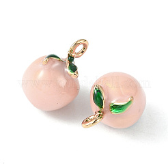 Messing Emaille Anhänger / charms&nbsp;KK-G462-41LG