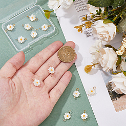 12 Stück natürliche Süßwasser-Muschel-Blumen-Anschluss-Charms&nbsp;PALLOY-HS00006