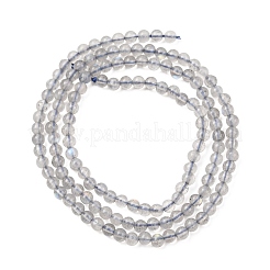 Natur Labradorit Perlen Stränge&nbsp;G-H358-A13-3mm-01