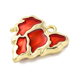 Pendentifs d'émail en alliage&nbsp;FIND-U024-02G-01