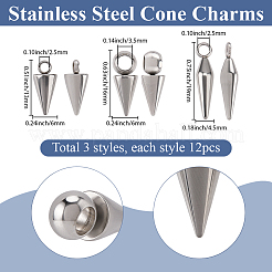 36 pièces 3 styles de breloques en acier inoxydable&nbsp;STAS-SC0021-01P