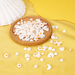 160pcs 8 Arten natürliche Süßwasser-Muschelperlenstränge&nbsp;SHEL-TA0001-08