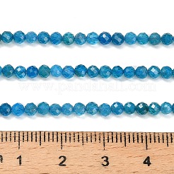 Chapelets de perles en apatite naturelle&nbsp;G-Z106-A01-3mm