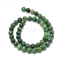 Natürliche westafrikanische Jade-Rundperlenstränge&nbsp;X-G-P075-03-8mm