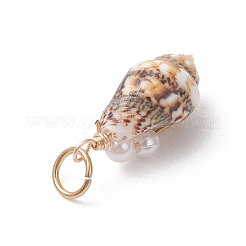 Natürliche Spirale Shell Anhänger&nbsp;PALLOY-JF05044