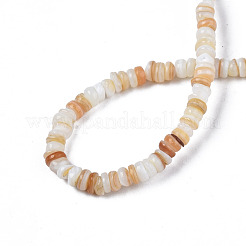 Natürlichen Süßwasser-Muschelperlen Stränge&nbsp;SHEL-S278-067G
