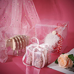 Transparente Geschenkbox aus Kunststoff für Tierboxen&nbsp;CON-WH0052-12x12cm