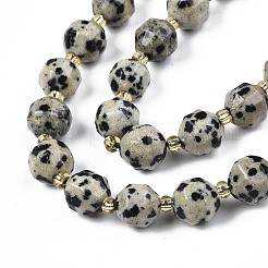 Chapelets de perles en jaspe dalmatien naturelle&nbsp;X-G-N326-100-02