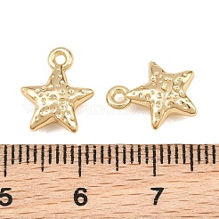 Pendentif en alliage &nbsp;AL-CBA83D5-07G