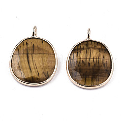 Pendentifs en œil de tigre naturel&nbsp;G-T131-108