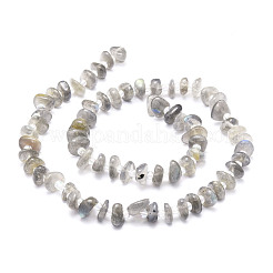 Natur Labradorit Perlen Stränge&nbsp;G-E569-J08