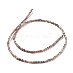 Leopardate naturale filoni tonda&nbsp;G-M389-02