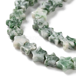 Fili di perle di diaspro spot verde naturale&nbsp;G-G085-B55-02