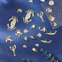 24pcs 12 Arten Legierungsanhänger&nbsp;FIND-SC0021-01